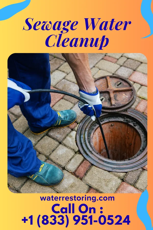 Sewage Water Cleanup in Luxora, AR
